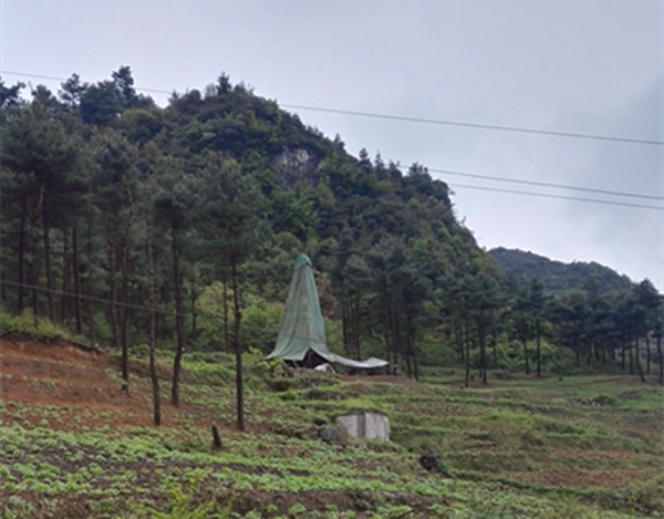 把脈“黔”鋅地，問診開良方