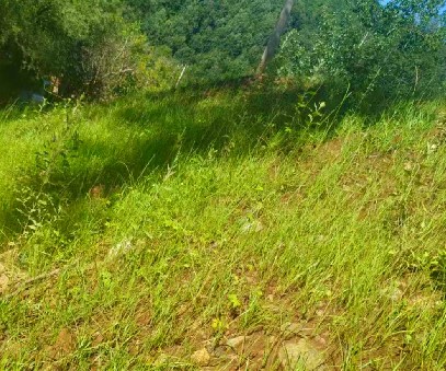 柳關(guān)欒盧鉛鋅礦|治理排土“瘡疤”，繪就綠色畫卷